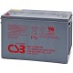 CSB HRL12390W FR Grp 31 100ah High Rate Long Life UPS Backup Battery