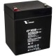 S CP1250 Sealed AGM 12 volt 5 ah Vision Battery F1 .187 terminals