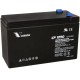 S CP1290 Sealed AGM 12 volt 9 ah Vision Battery F2 .250 terminals