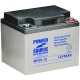 WP50-12 Sealed AGM Battery 12 volt 50 ah Power Source