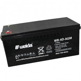 WB-4D-AGM SLA  4D 12v 200ah Internal Threads Weida Battery