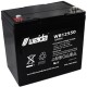 WB12550 IT SLA AGM 22NF 12 volt 55 ah Internal Threads Weida Battery