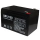 Qelectric Expresso Electric Moped Battery