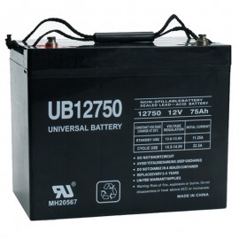 12v 75ah Group 24 UPS Battery replaces CSB XTV12750, XTV 12750