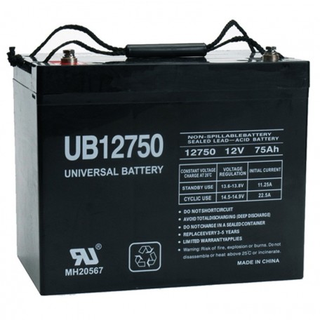 12v 75ah UPS Battery replaces 60ah Vision 6FM60-X, 6 FM 60-X