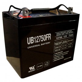 75ah Flame Retardant UPS Battery replaces Genesis NP75-12FR