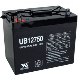 Pride Mobility Jazzy 1450 Group 24 75ah AGM Battery
