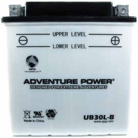 Polaris 4140012 Conventional ATV UTV All-Terrain Replacement Battery