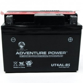 Exide Powerware 4L-A Replacement Battery