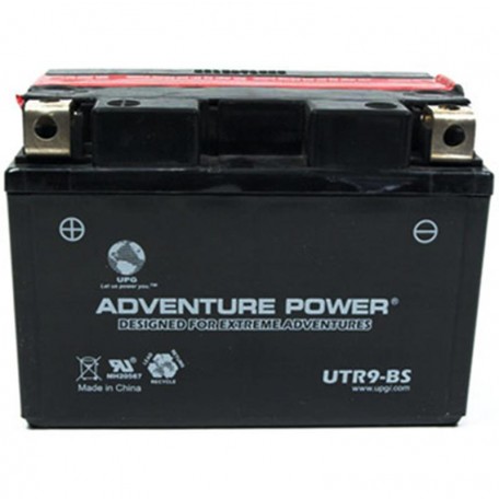 Honda FES125 Replacement Battery 
