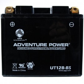 Interstate YT12B-BS Replacement Battery