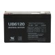 Emerson 300 (6 Volt, 12 Ah) UPS Battery