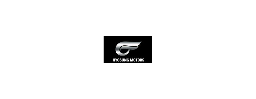 Hyosung Motors Scooter Batteries