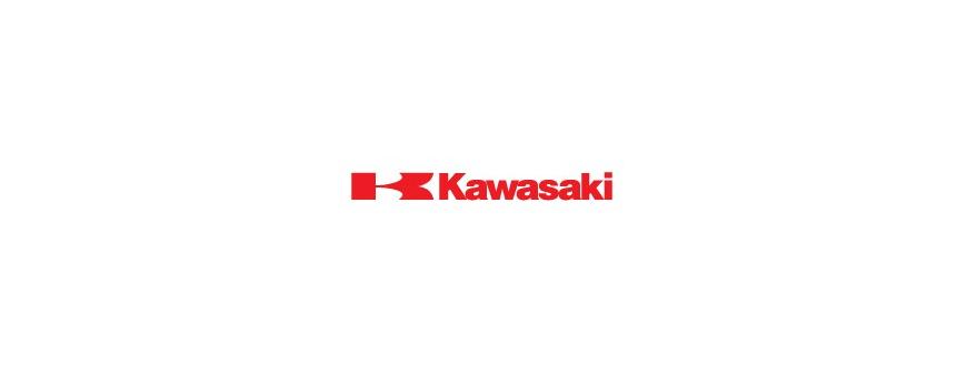 Kawasaki Jet Ski Batteries