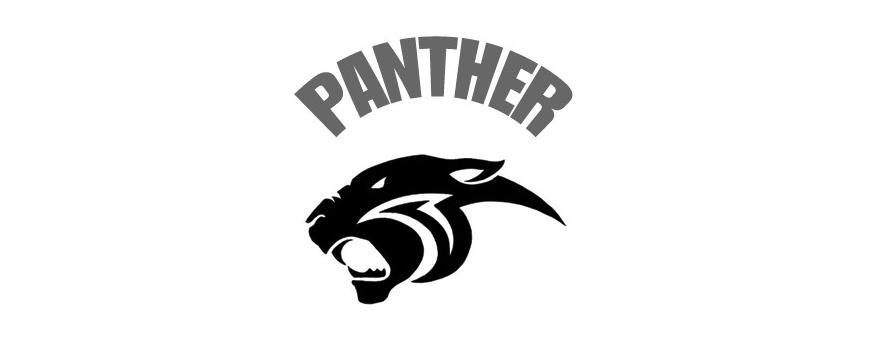 Panther Motorcycle Batteries