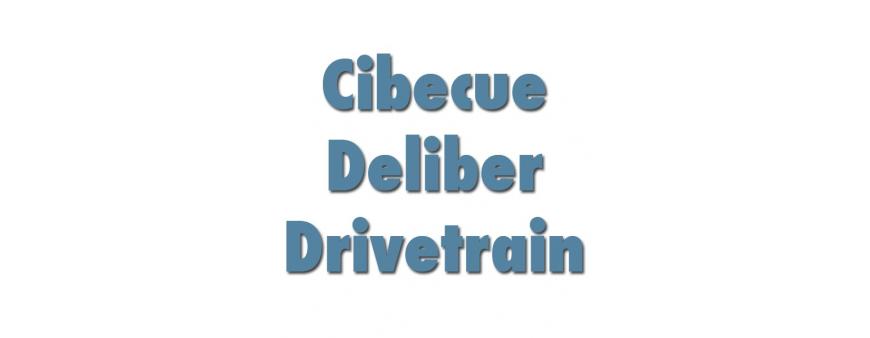 Cibecue Deliber Drivetrain Batteries