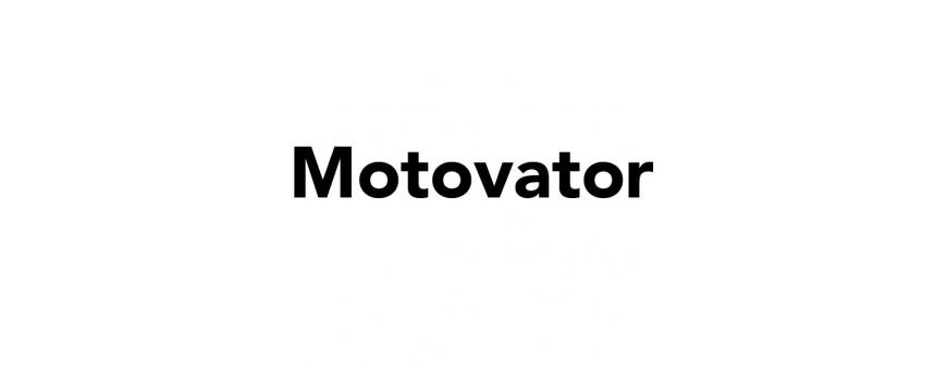 Motovator Batteries