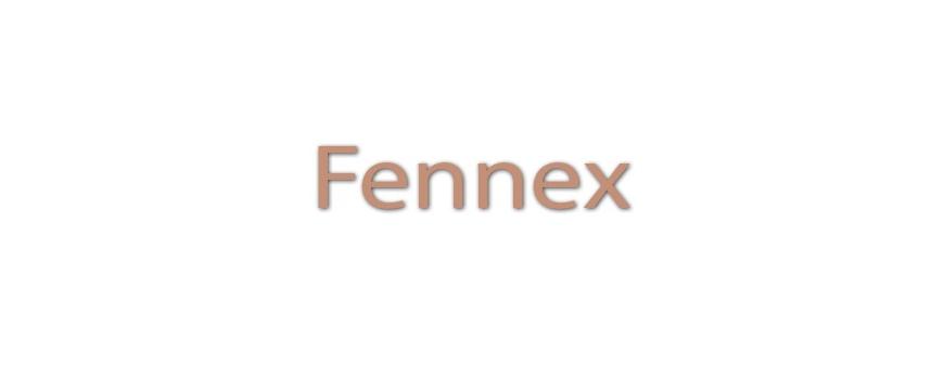 Fennex UPS Batteries