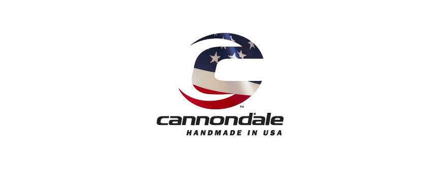 Cannondale Motorcycle Batteries