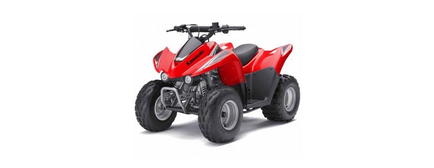 Kawasaki 90, 110 ATV Batteries