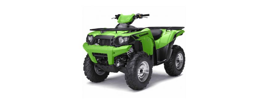 Kawasaki 750 ATV Batteries