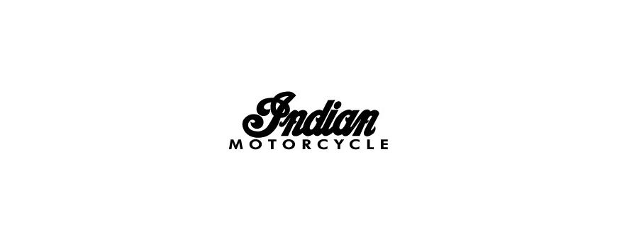 Indian Motorcycle Motorcycle Batteries